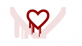 Heartbleed Bug